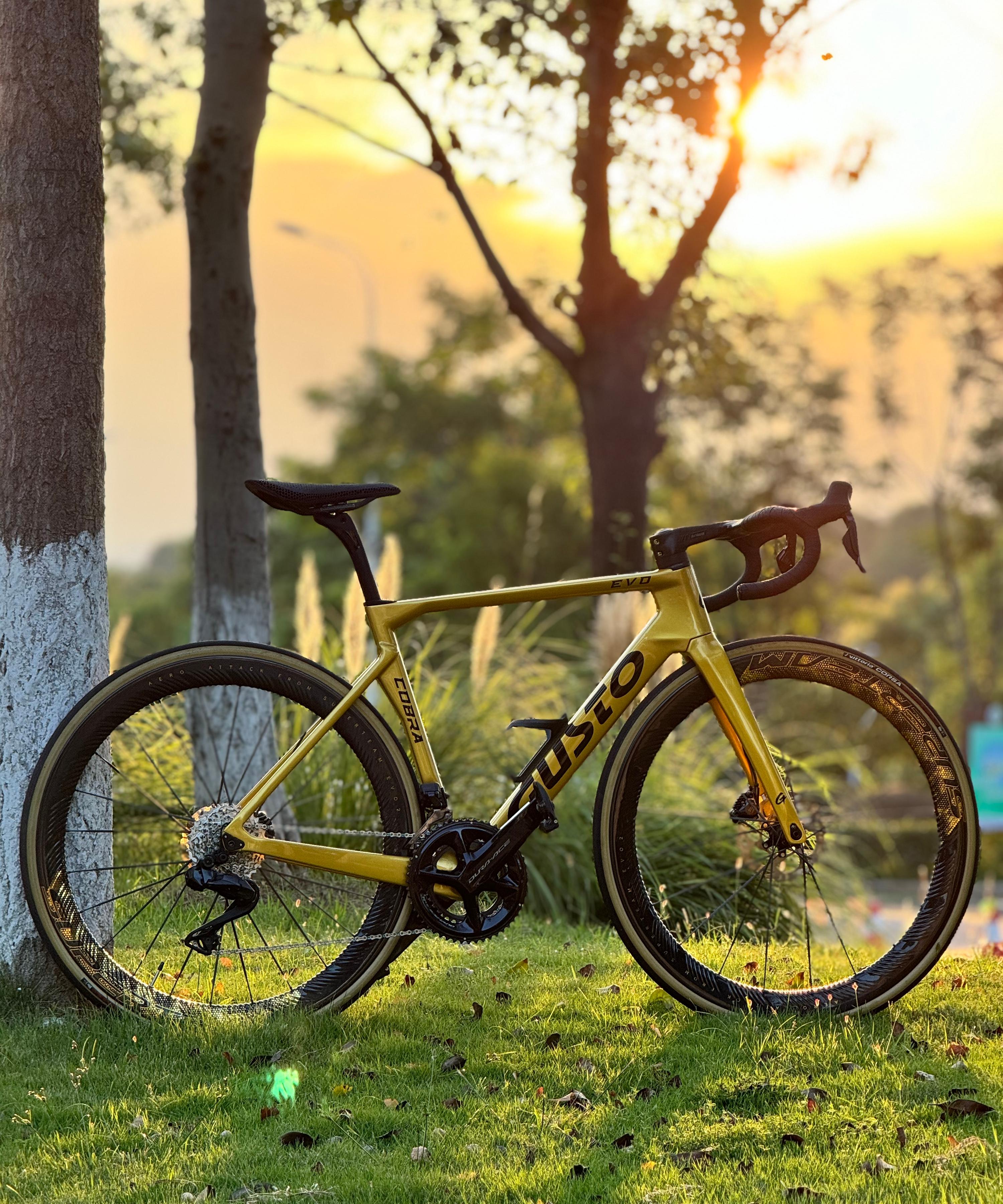 S-ALL Carbon EVO Ⅱ D30-50 DISC Brake Wheelsets Gold Decals