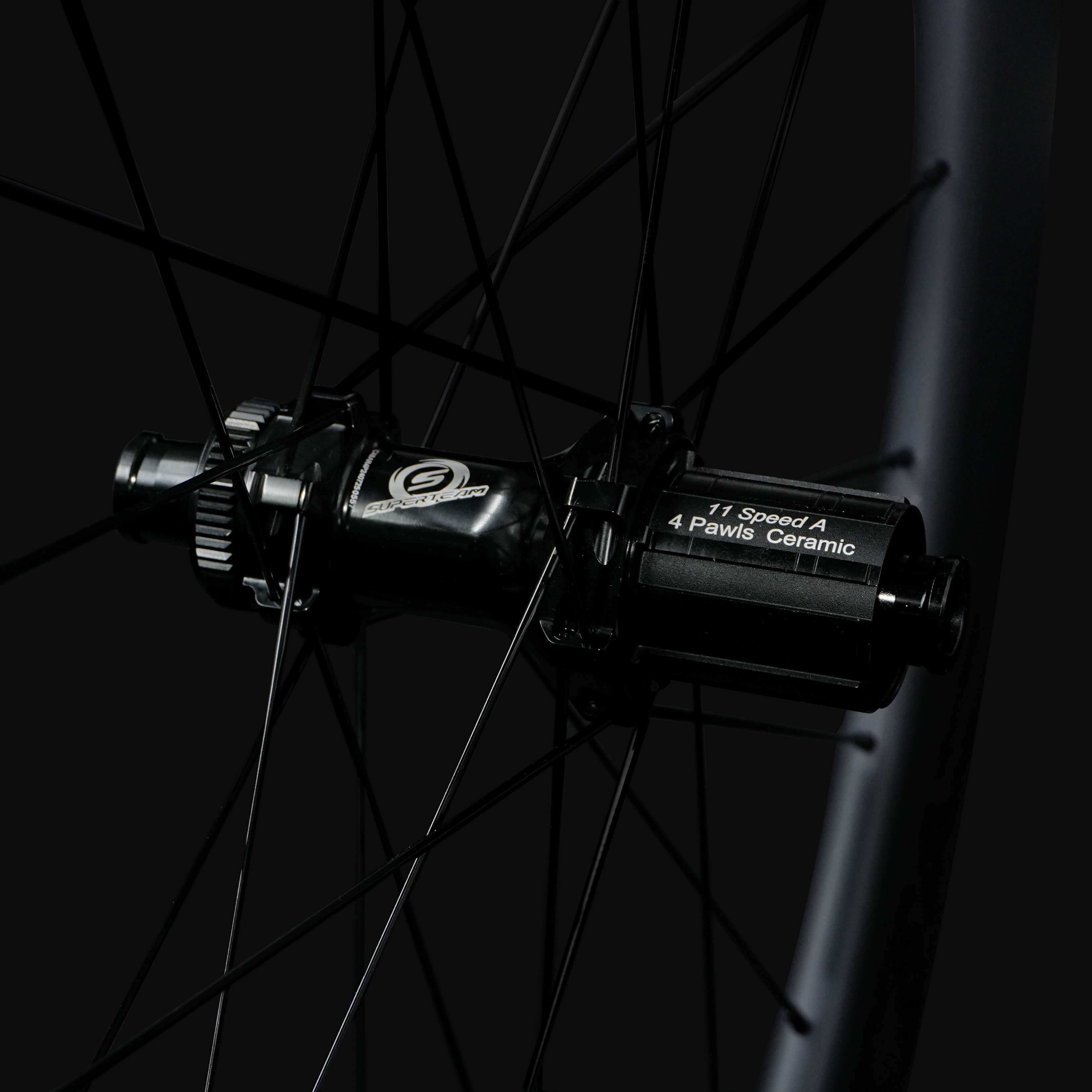 Classic PRO D28-60 Disc Brake Black Decals PILLAR WING21 Spokes