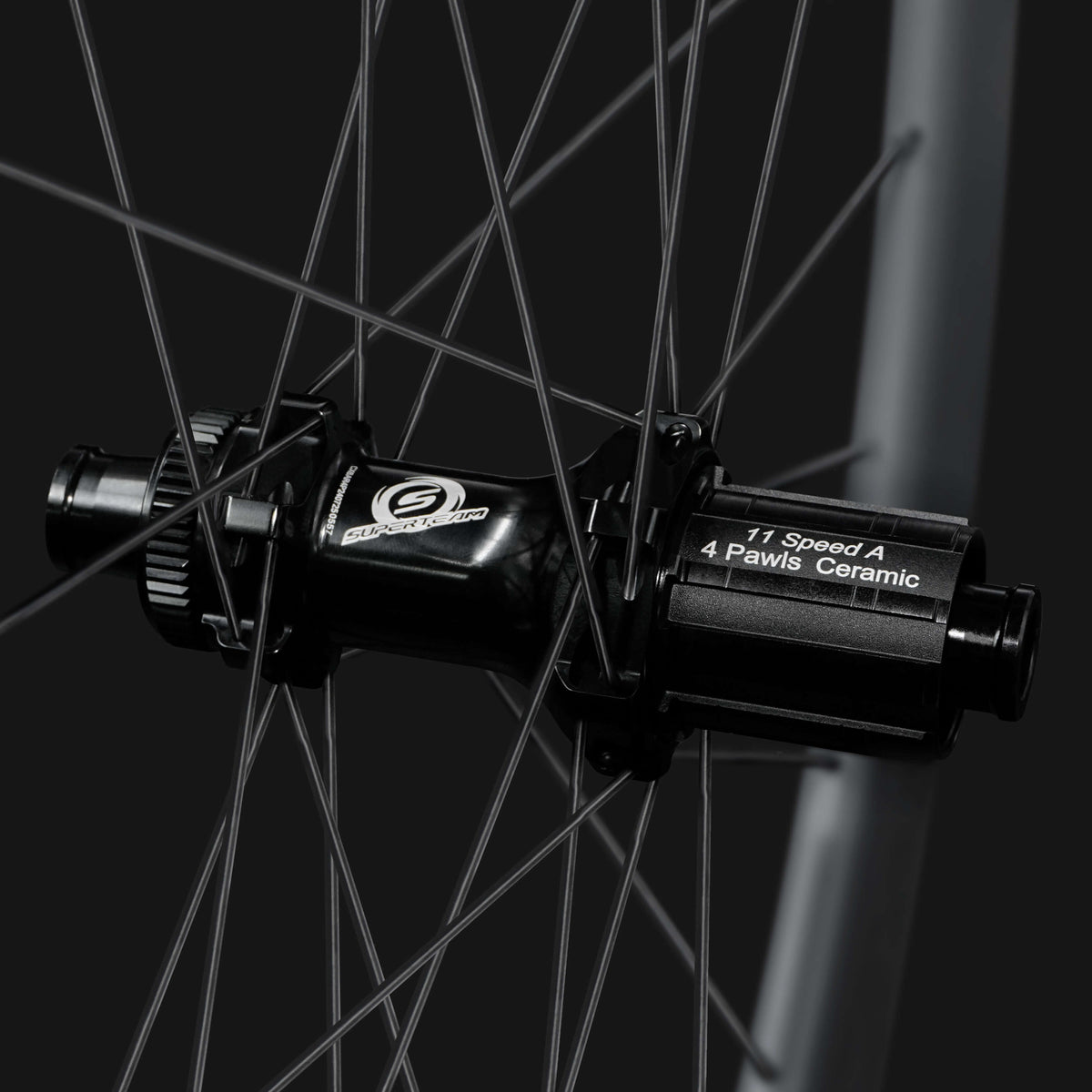 Classic PRO D28-60 Disc Brake Black Decals PILLAR WING21 Spokes