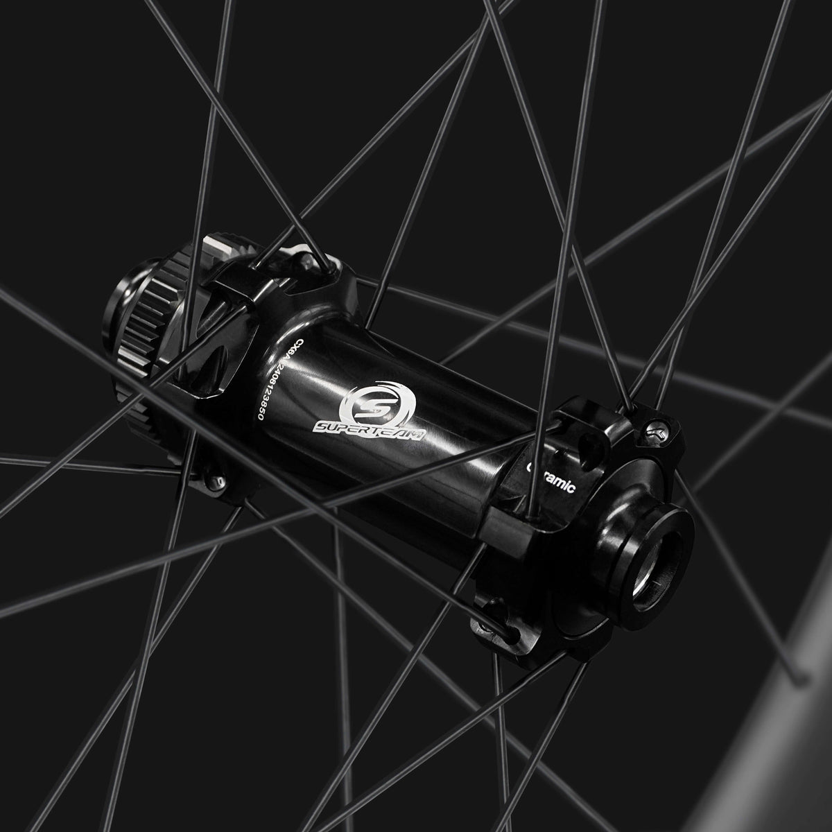 Classic PRO D30-88 Disc Brake Black Decals PILLAR WING21 Spokes