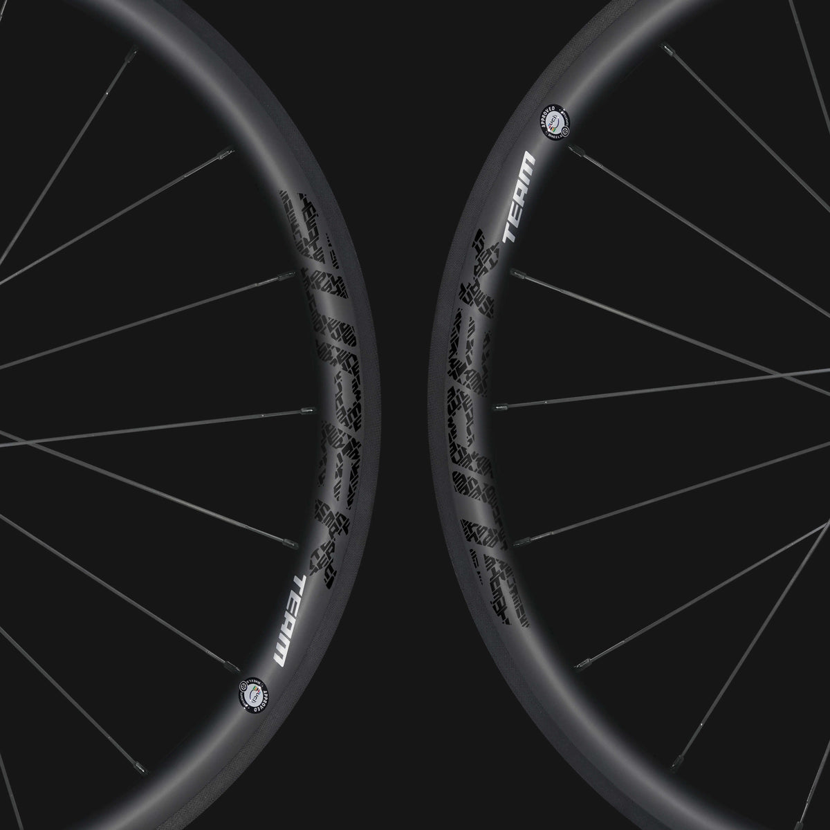 Conjunto de rodas de carbono Classic PRO R25-38 RIM Brake Black Decals