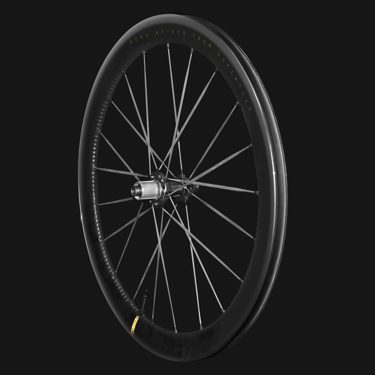 S-ALL Carbon EVO D28-45 DISC Brake Black Spokes