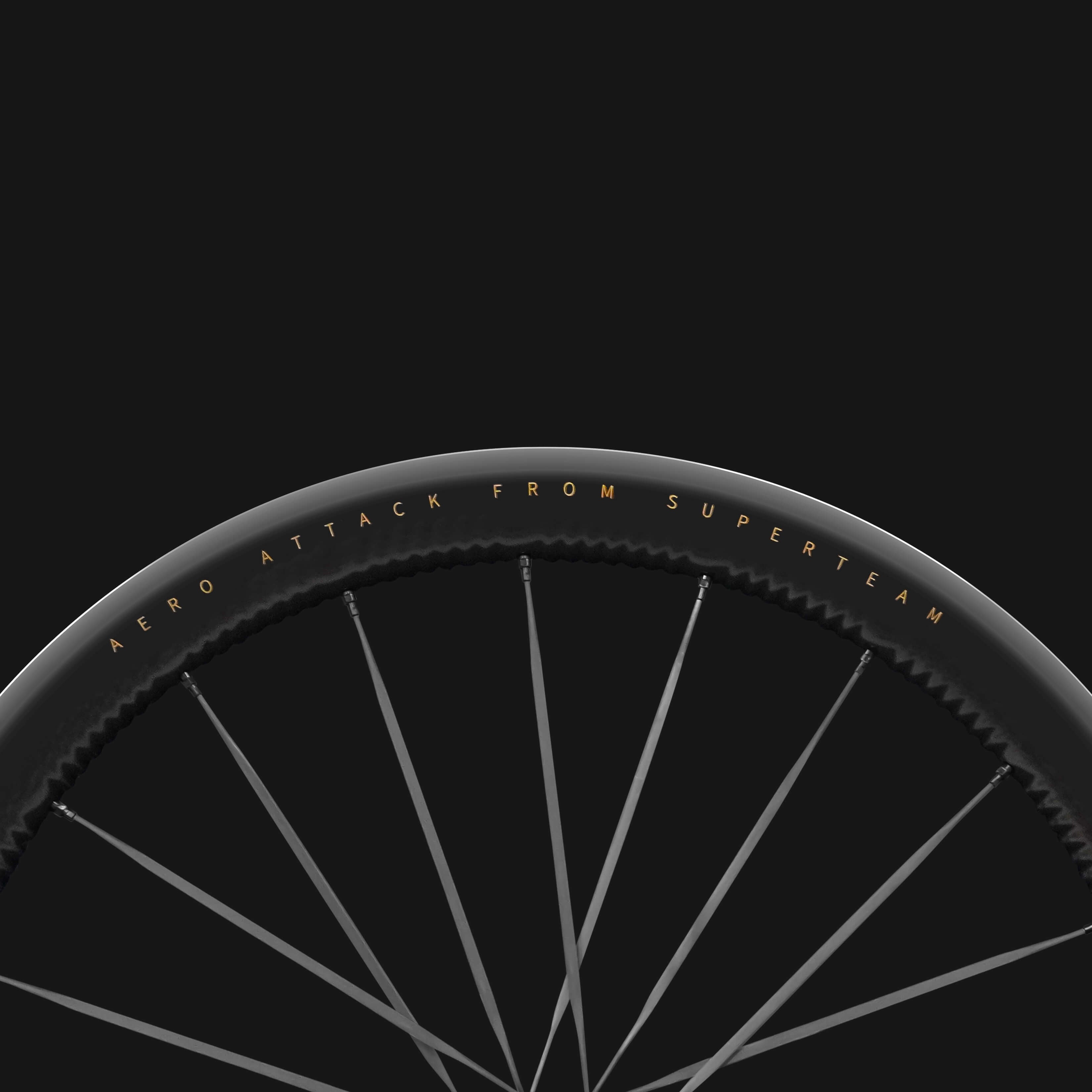 S-ALL Carbon EVO D28-50 DISC Brake Wheelsets Black Spokes