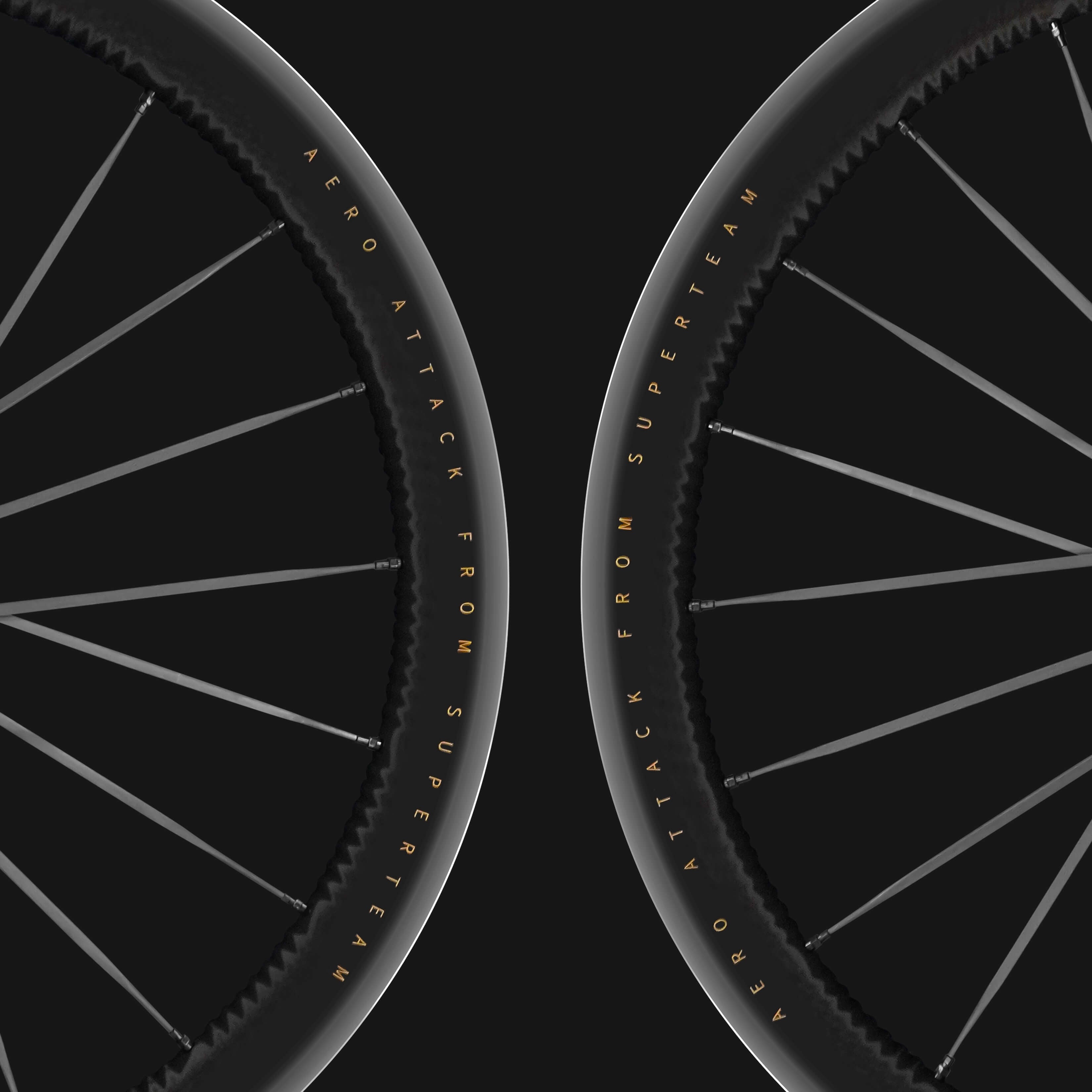 S-ALL Carbon EVO D28-50 DISC Brake Wheelsets Black Spokes