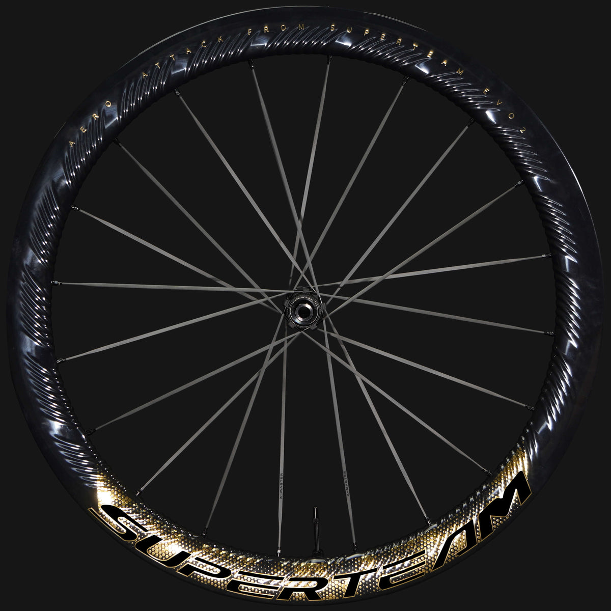 S-ALL Carbon EVO Ⅱ D30-50 DISC Brake Gold Decals