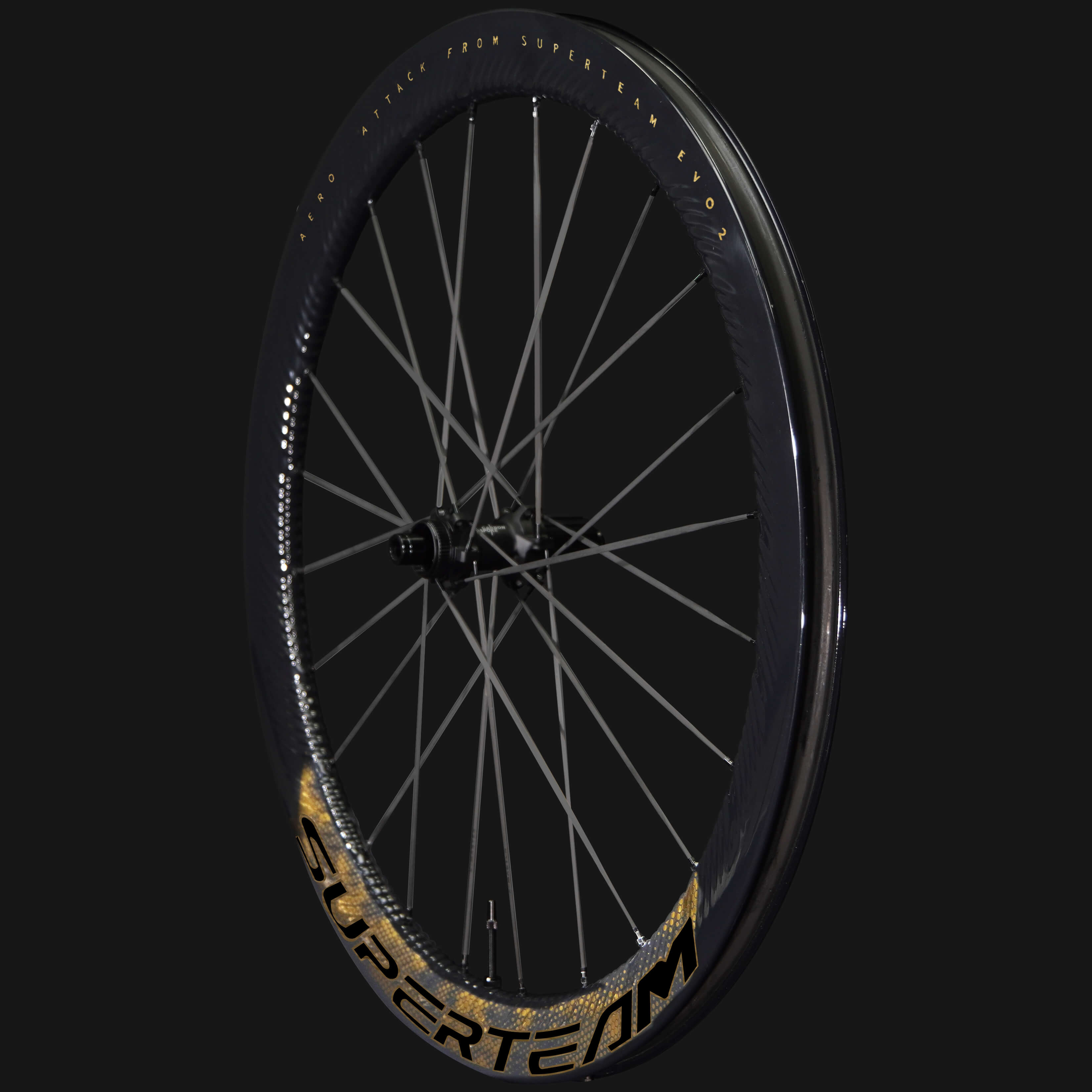 S-ALL Carbon EVO Ⅱ D30-50 DISC Brake Gold Decals road bike