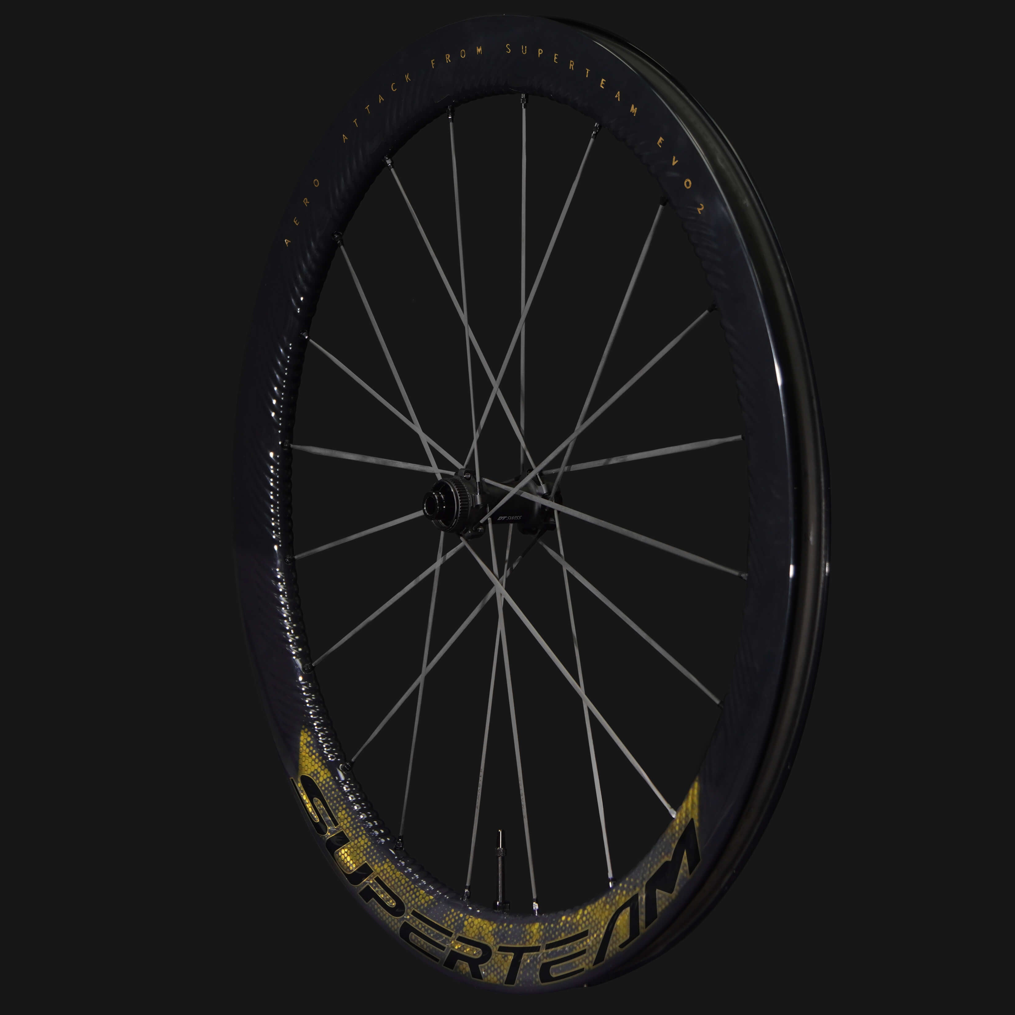 S-ALL Carbon EVO Ⅱ D30-50 DISC Brake Gold Decals road bike