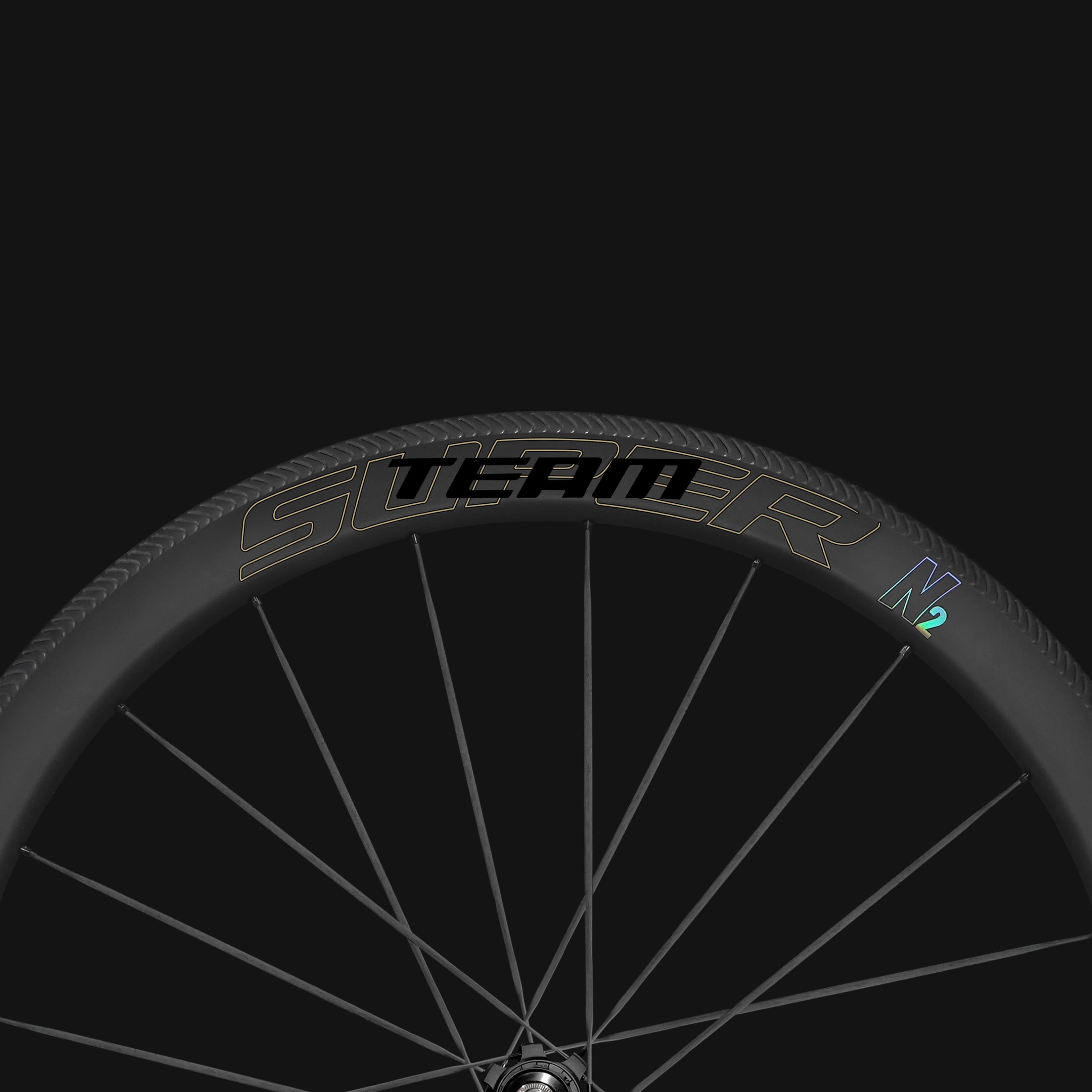 S-ALL Carbon N2 RIM Brake Wheelset