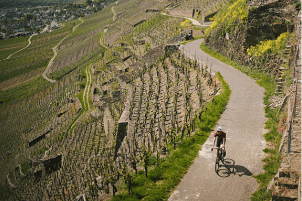 Are carbon wheels afraid of falling? The truth about the strength of the Carbon Gravel Wheelset