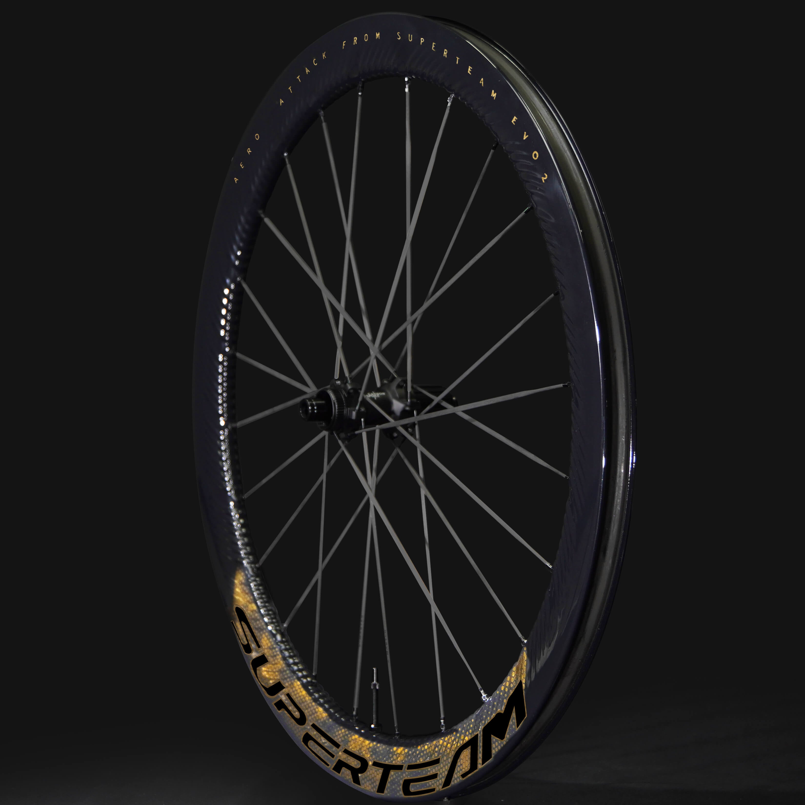 S-ALL Carbon EVO Ⅱ D30-50 DISC Brake Gold Decals