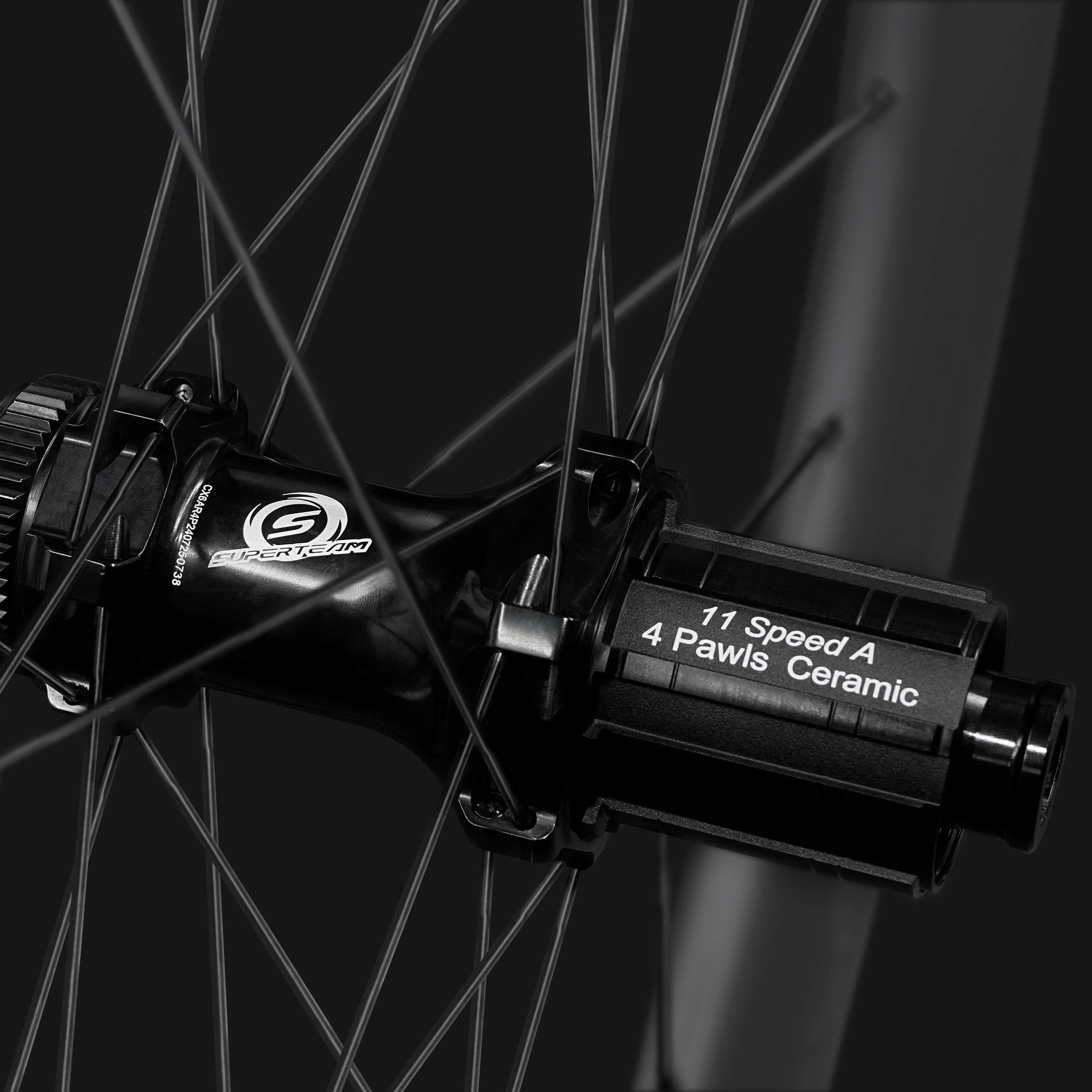 Classic PRO D28-88 Disc Brake Black Decals PILLAR WING21 Spokes