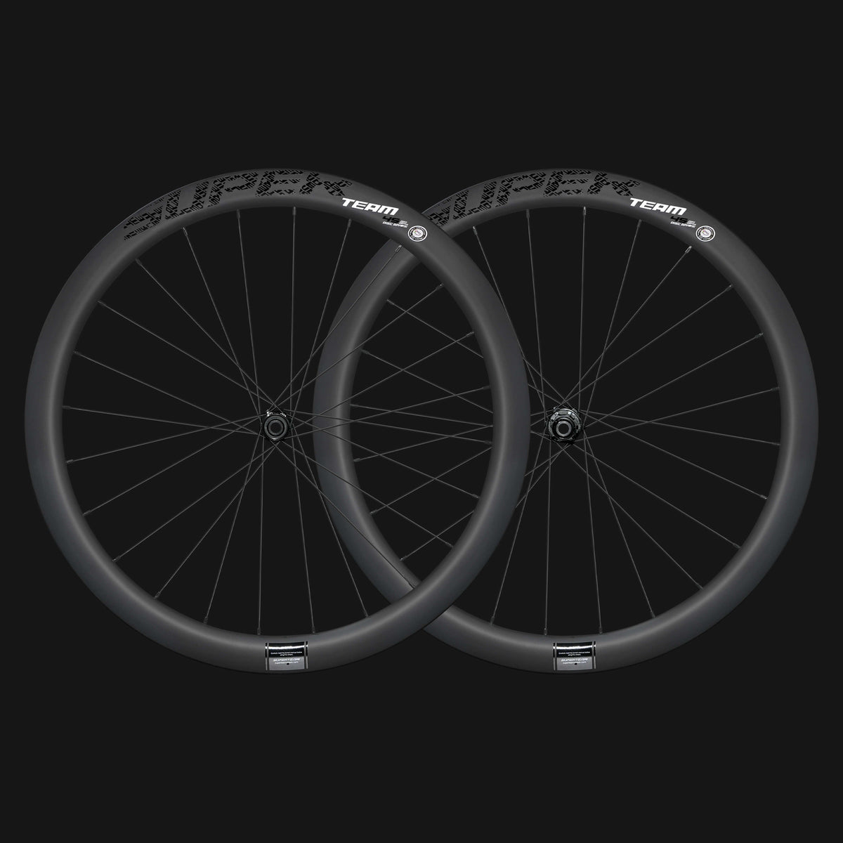 Roues Classic PRO D28-45 à freins à disque en carbone avec moyeux Campagnolo.
