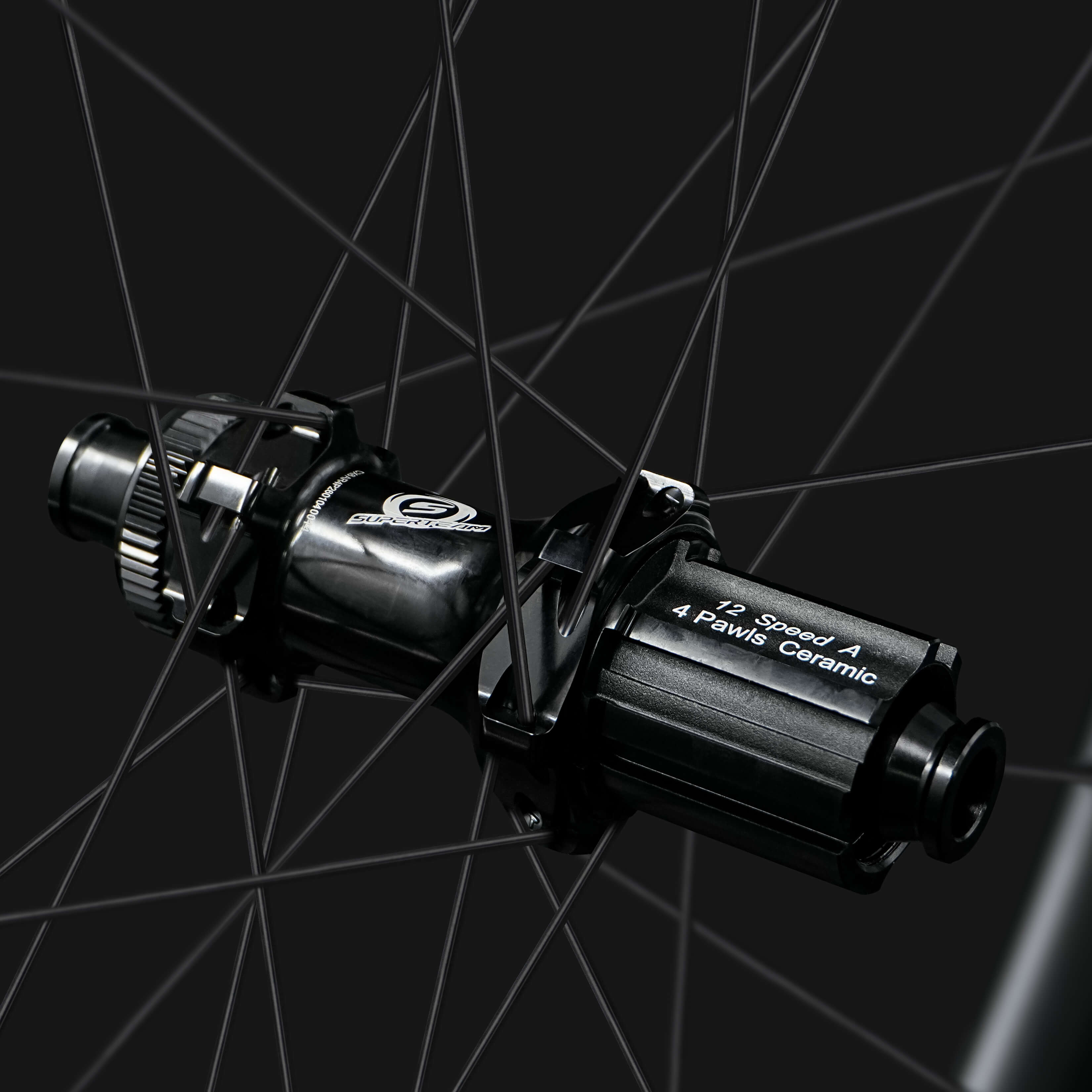 Classic PRO D28-45 DISC Brake Carbon Wheelset Campagnolo Hub