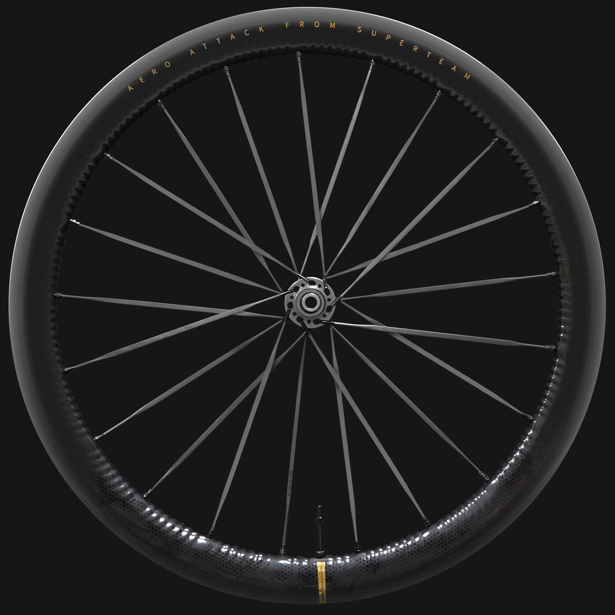 S-ALL Carbon EVO D28-45 DISC Brake Black Spokes
