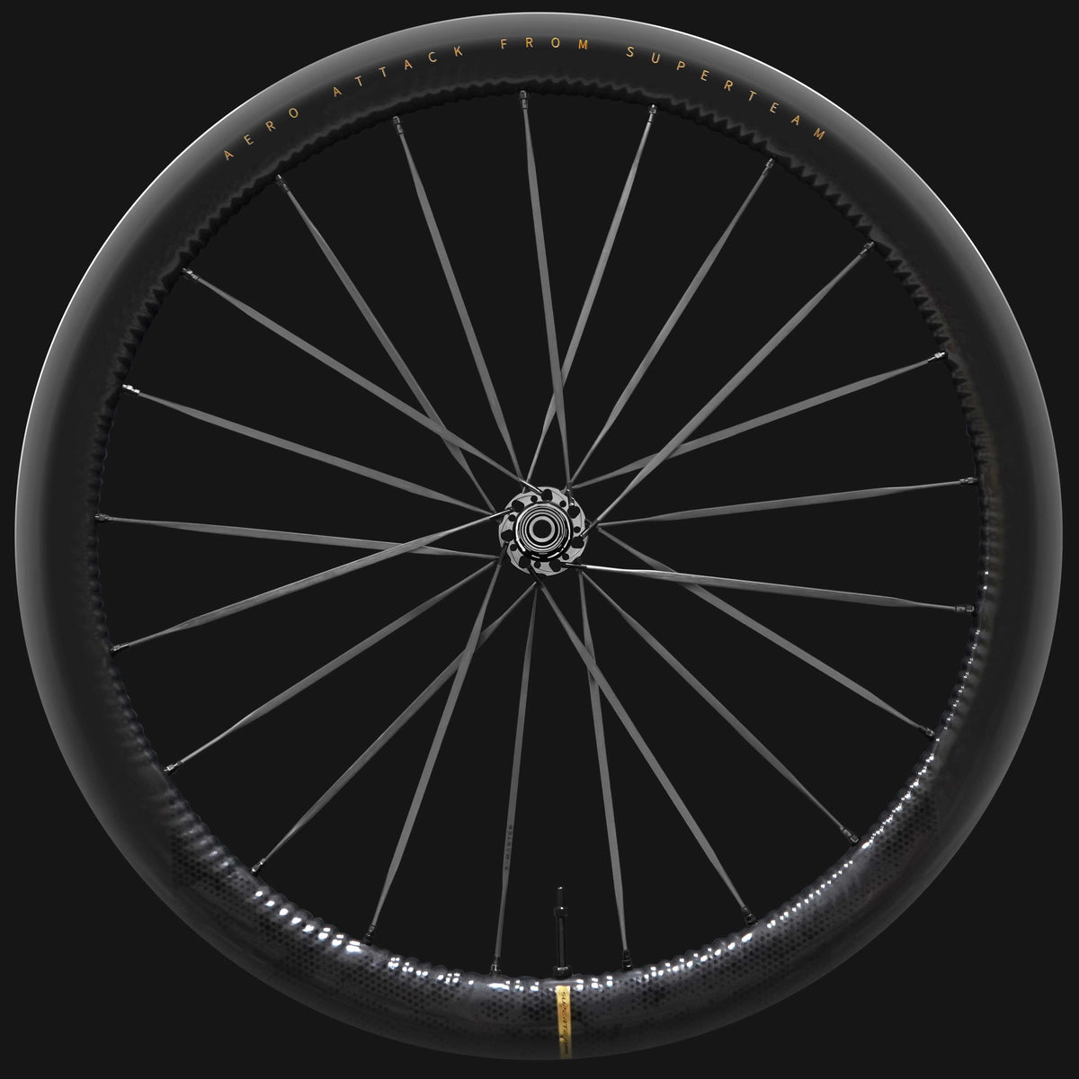 S-ALL Carbon EVO D28-45 DISC Brake Black Spokes