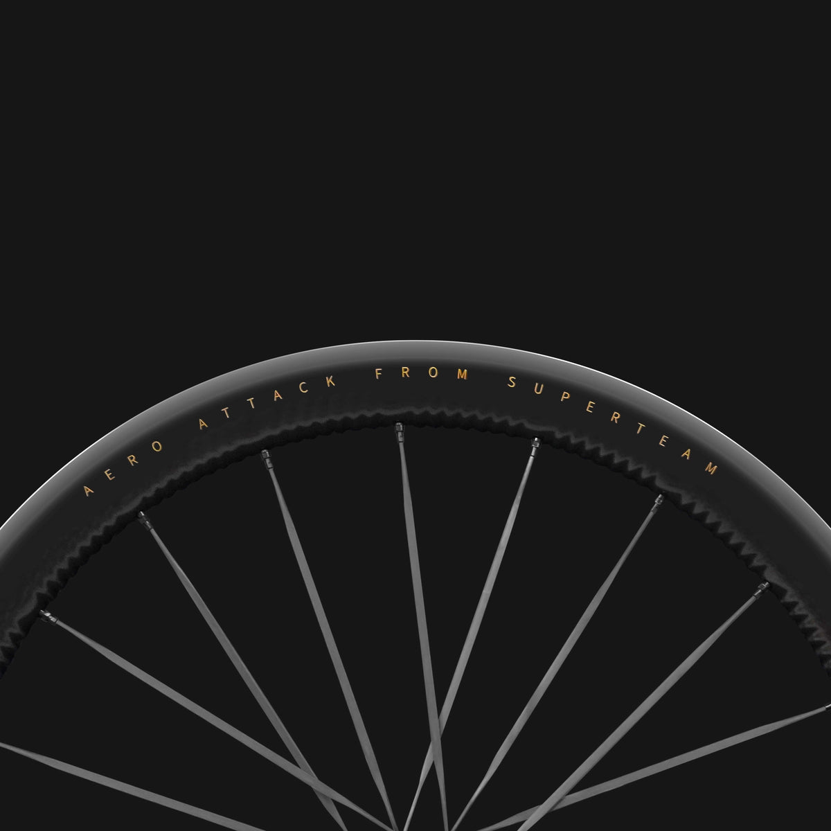 S-ALL Carbon EVO D28-45 DISC Brake Black Spokes