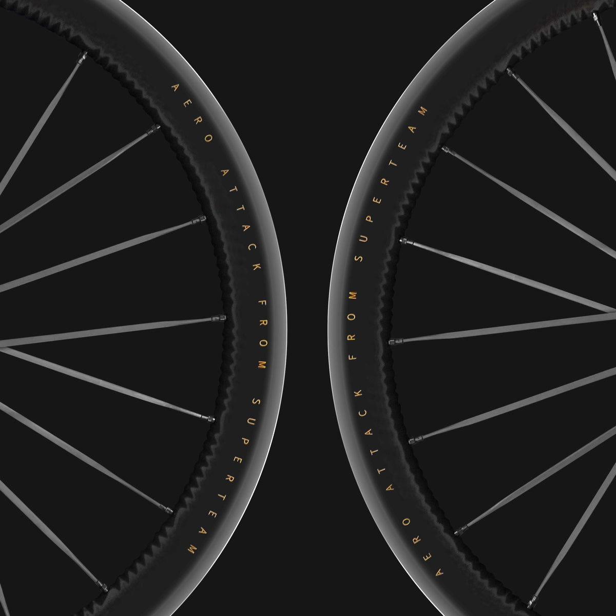 S-ALL Carbon EVO D28-45 DISC Brake Black Spokes