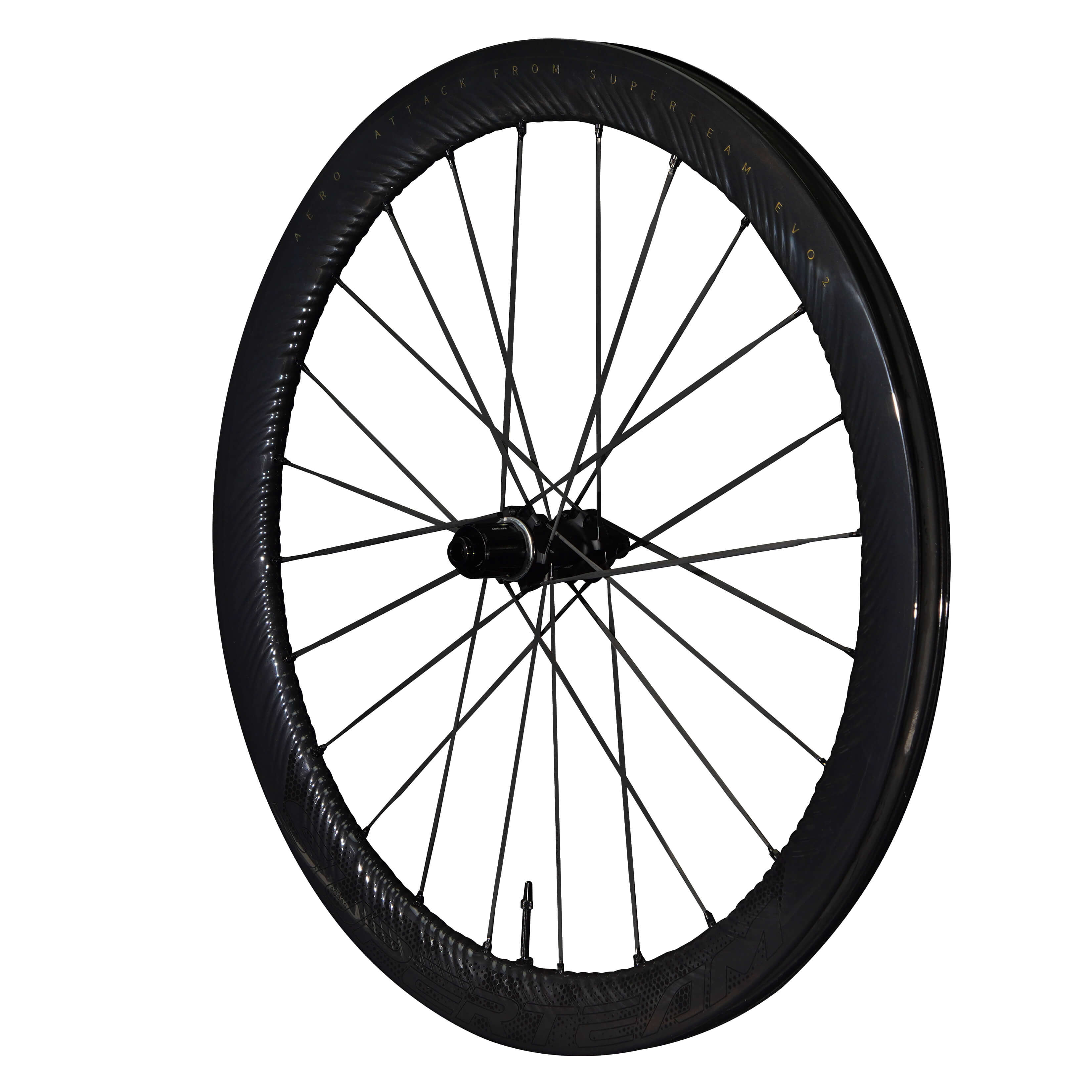 S-ALL Carbon EVO Ⅱ D30-50 DISC Brake Black Decals