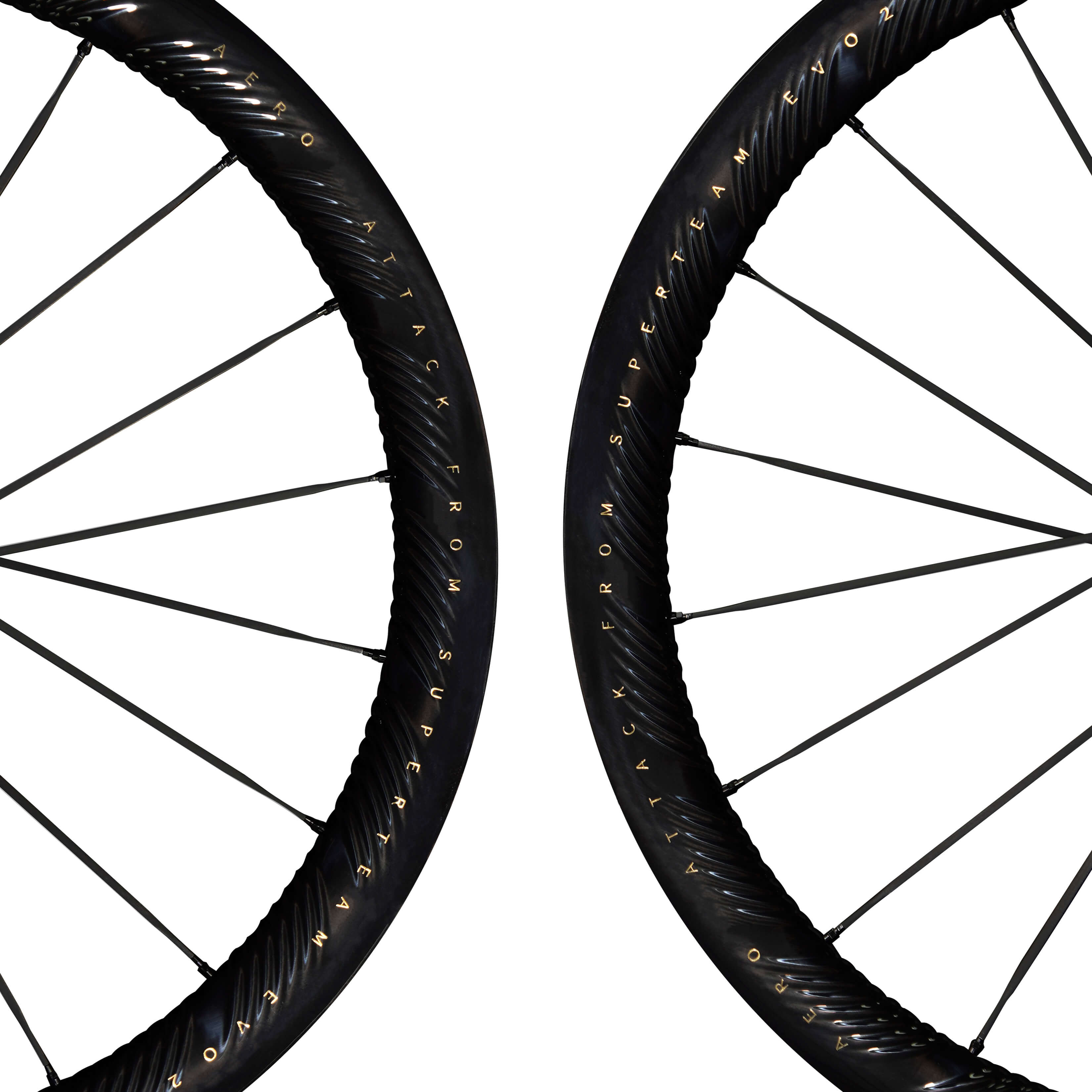 S-ALL Carbon EVO Ⅱ D30-50 DISC Brake Black Decals