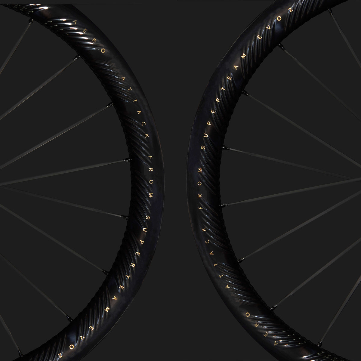 S-ALL Carbon EVO Ⅱ D30-50 DISC Brake Black Decals