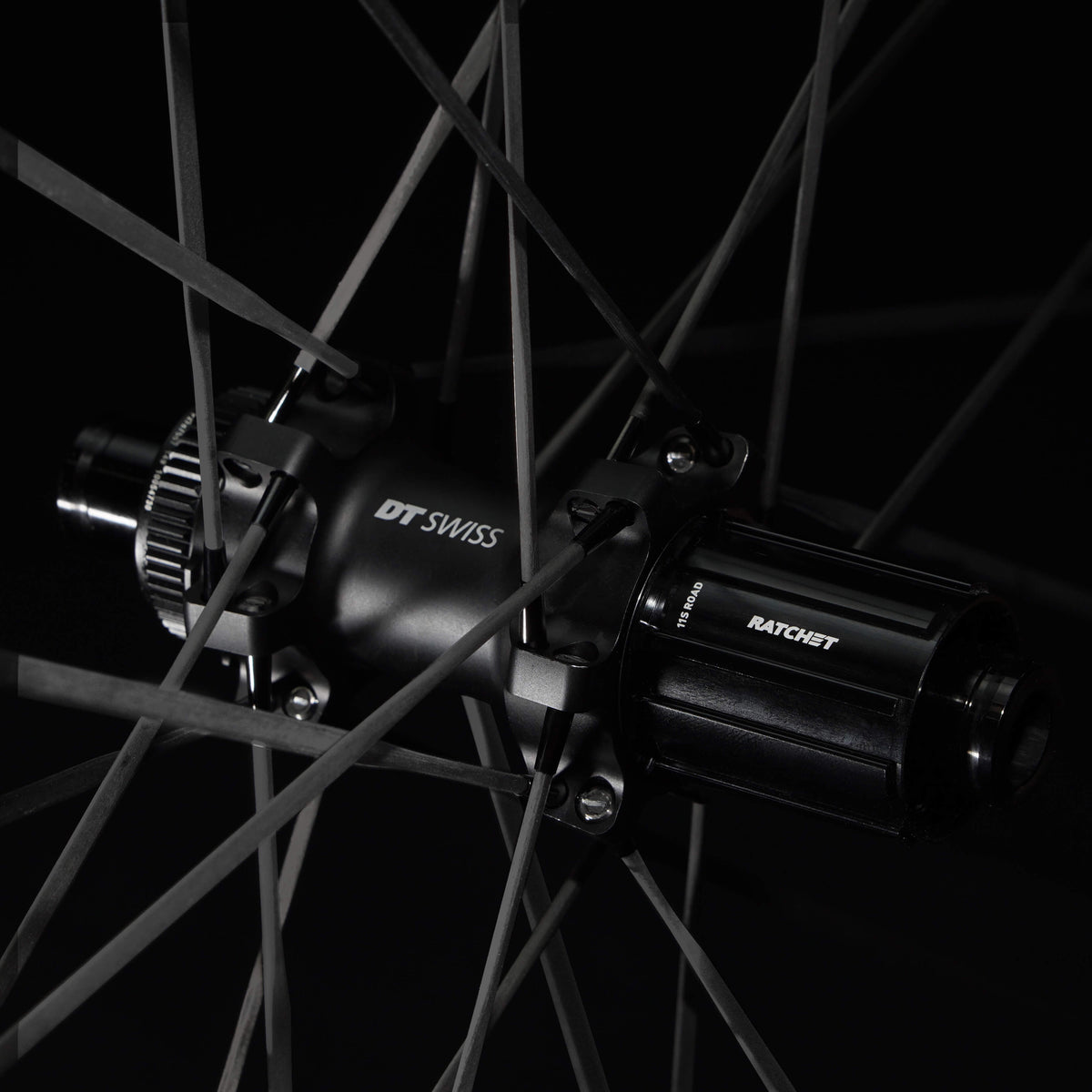 S-ALL Carbon EVO Ⅱ D30-50 DISC Brake Gold Decals