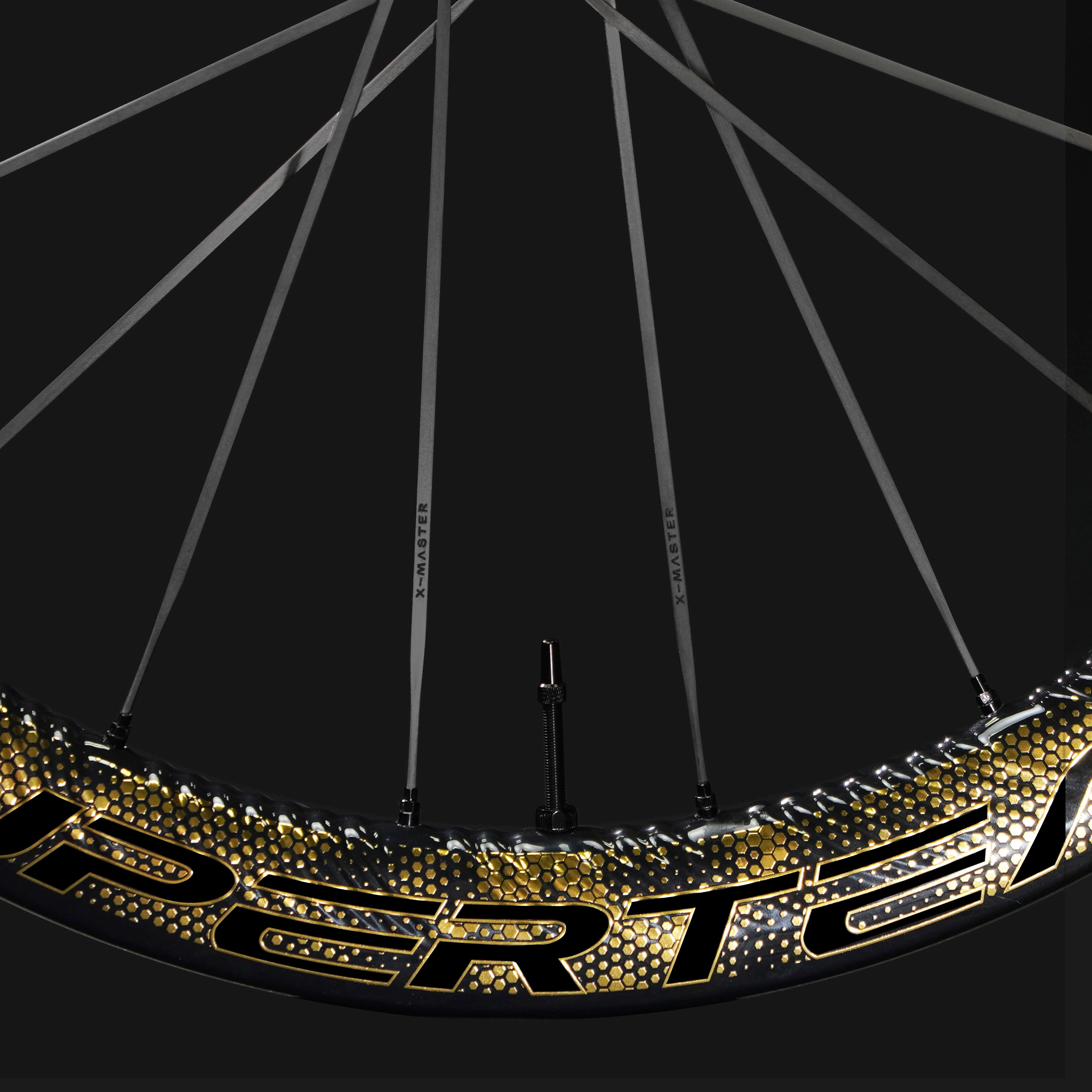 S-ALL Carbon EVO Ⅱ D30-50 DISC Brake Gold Decals | Superteam Wheels